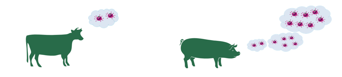 Erregerausscheidung © Food and Agriculture Organization of the United Nations