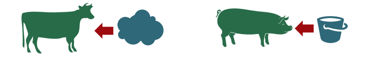 Erregeraufnahme © Food and Agriculture Organization of the United Nations